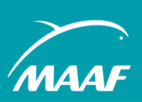 maaf