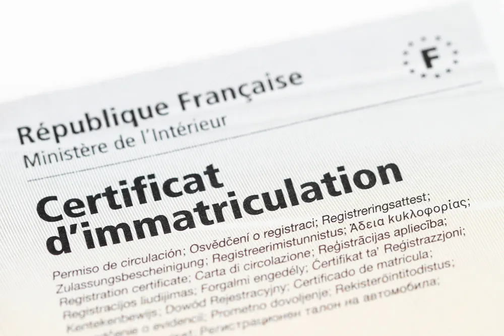 imamtriculation
